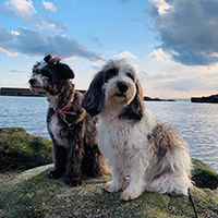 #4PAWS OFFICIAL INSTAGRAM PHOTO02