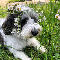 #4PAWS OFFICIAL INSTAGRAM PHOTO03