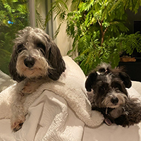 #4PAWS OFFICIAL INSTAGRAM PHOTO08