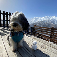 #4PAWS OFFICIAL INSTAGRAM PHOTO09