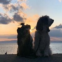 #4PAWS OFFICIAL INSTAGRAM PHOTO10